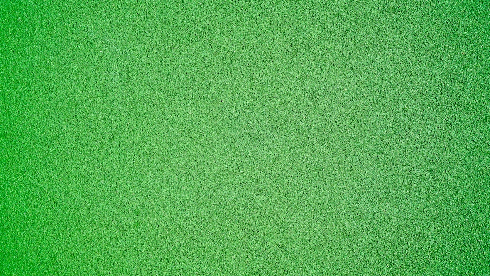 Czego roślina potrzebuje do życia? 42