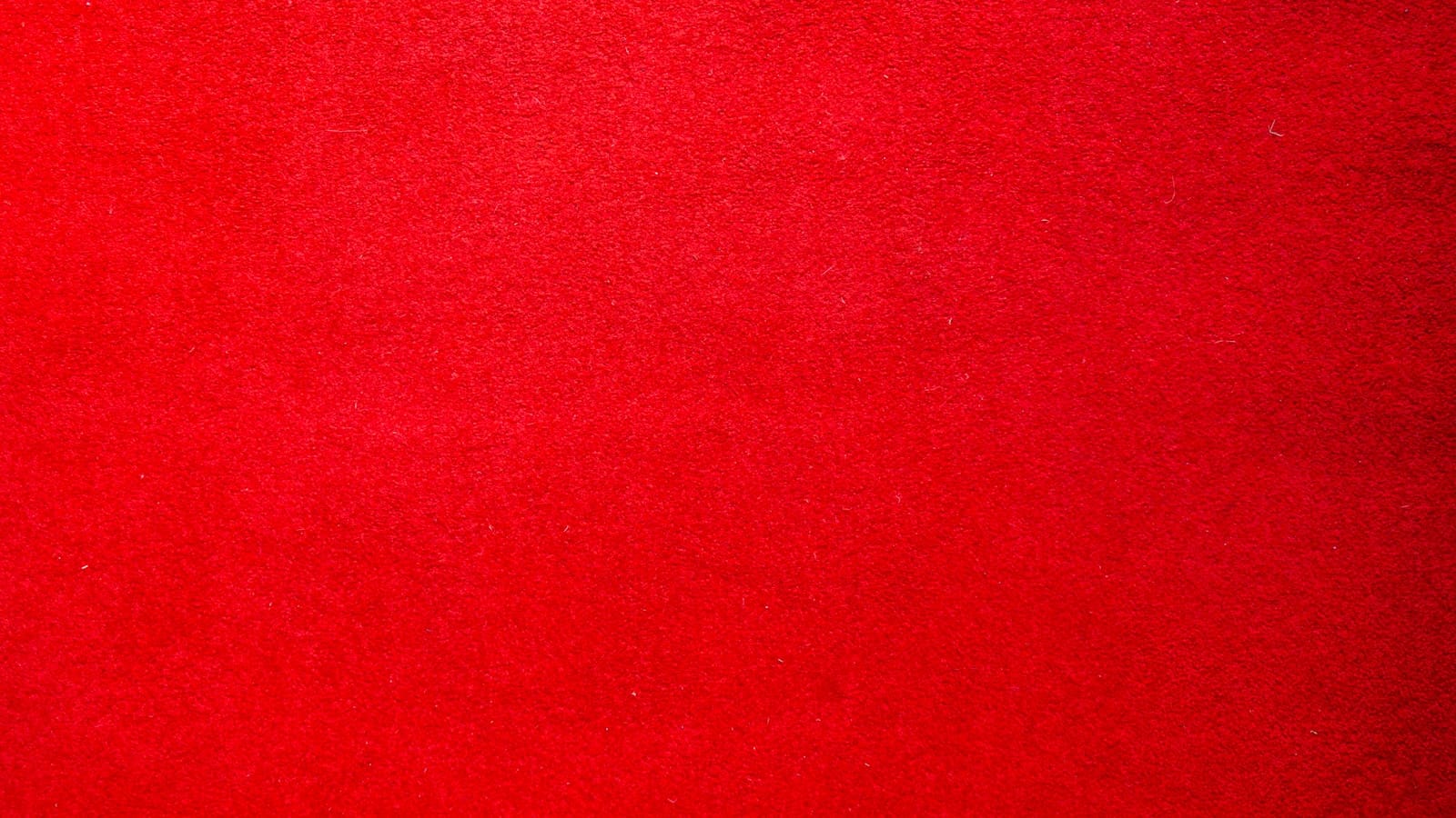 Czego roślina potrzebuje do życia? 44