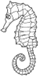 Obrazek do odpowiedzi: a seahorse