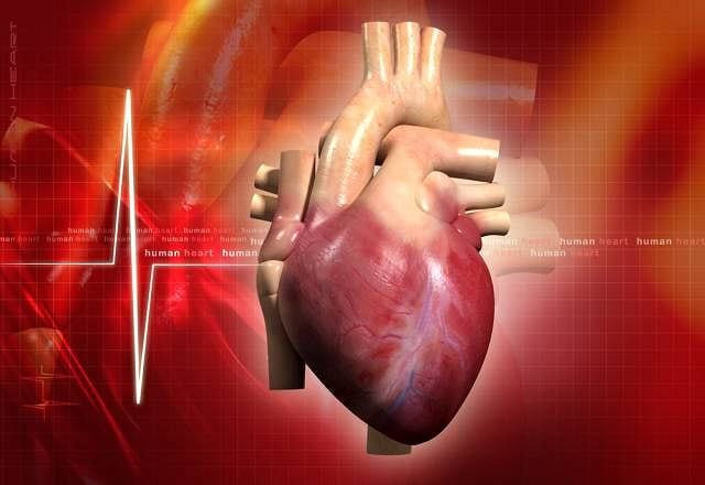 Obrazek do pytania: Ile komór ma ludzkie serce?