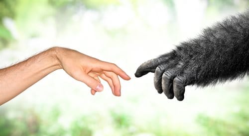 Obrazek do pytania: W jakich organizmach najszybciej zaobserwujemy zmiany ewolucyjne?