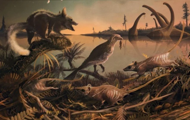 Obrazek do pytania: Podaj jedno źródło wiedzy o ewolucji: