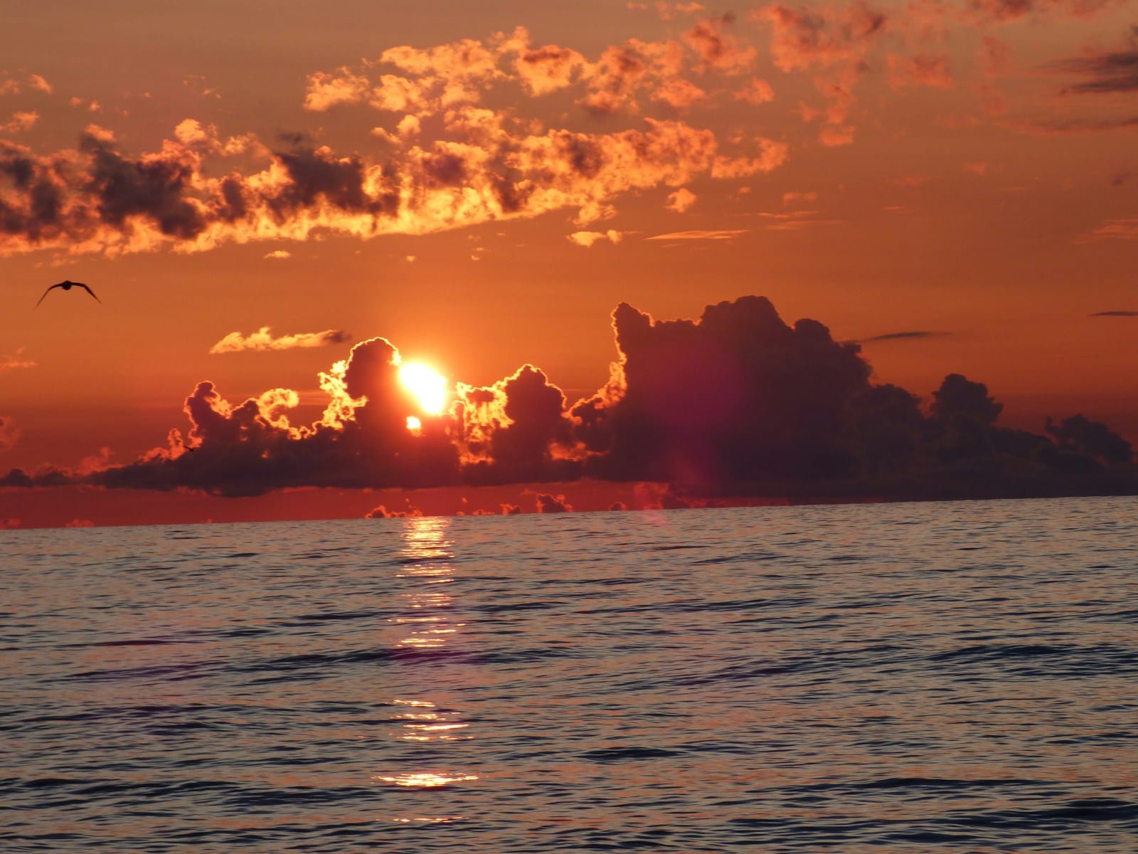 Wie ist das Wetter? 49