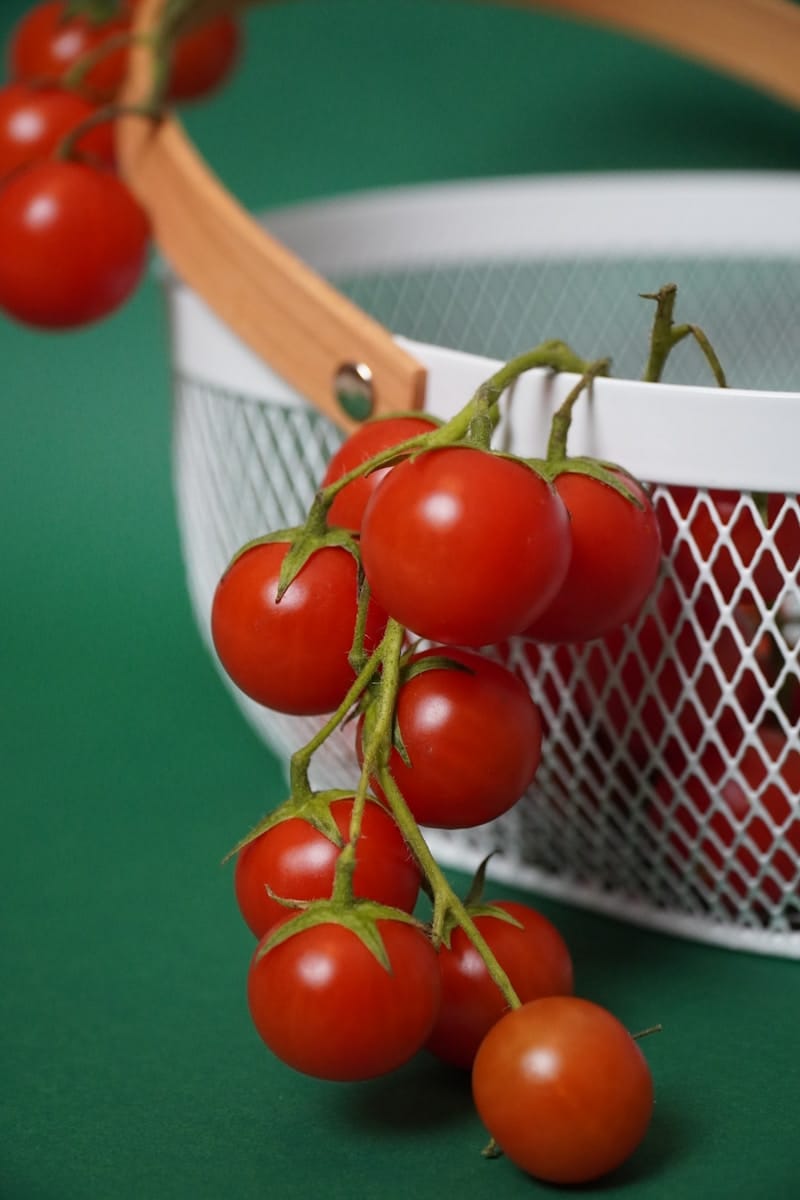 Owoce i warzywa w historii - Fruits and vegetables in history 42